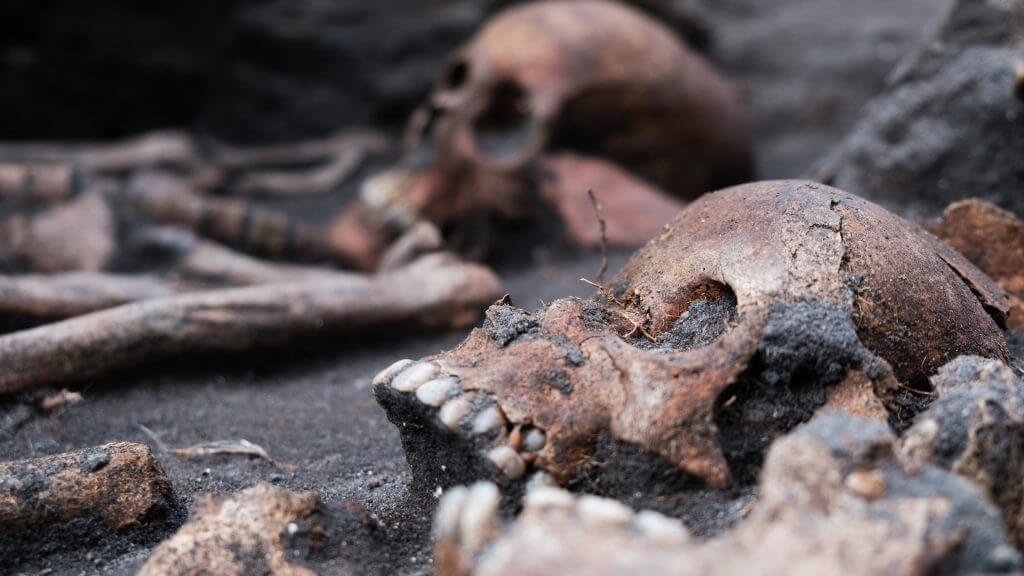 Viking woman found buried with shells in her mouth 2 Viking woman found buried with shells in her mouth