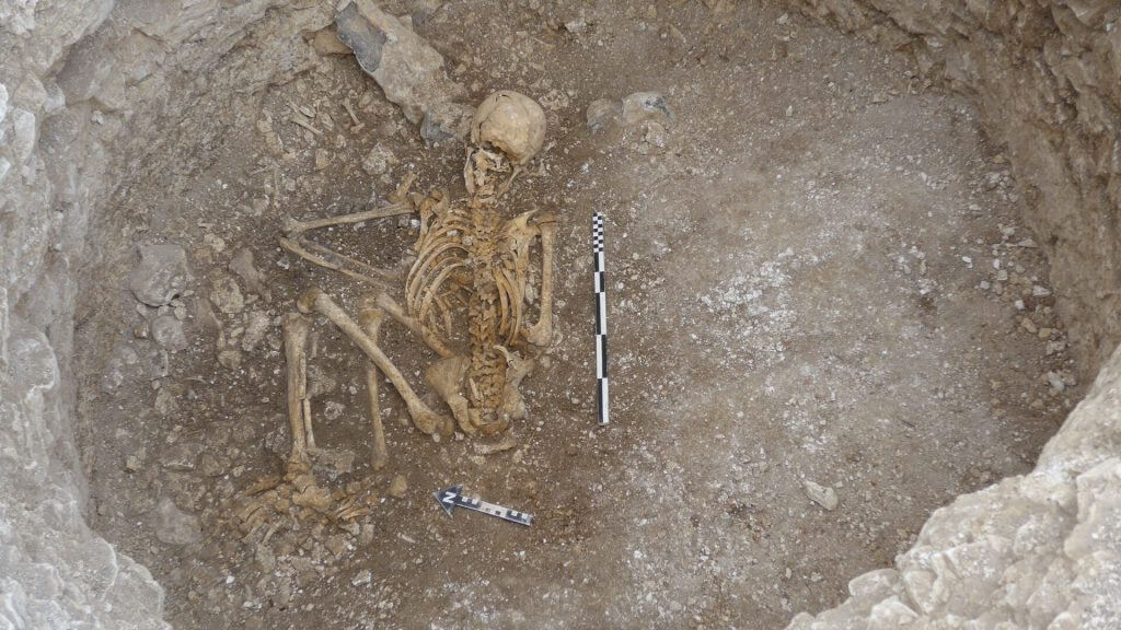 Viking woman found buried with shells in her mouth 3 Viking woman found buried with shells in her mouth