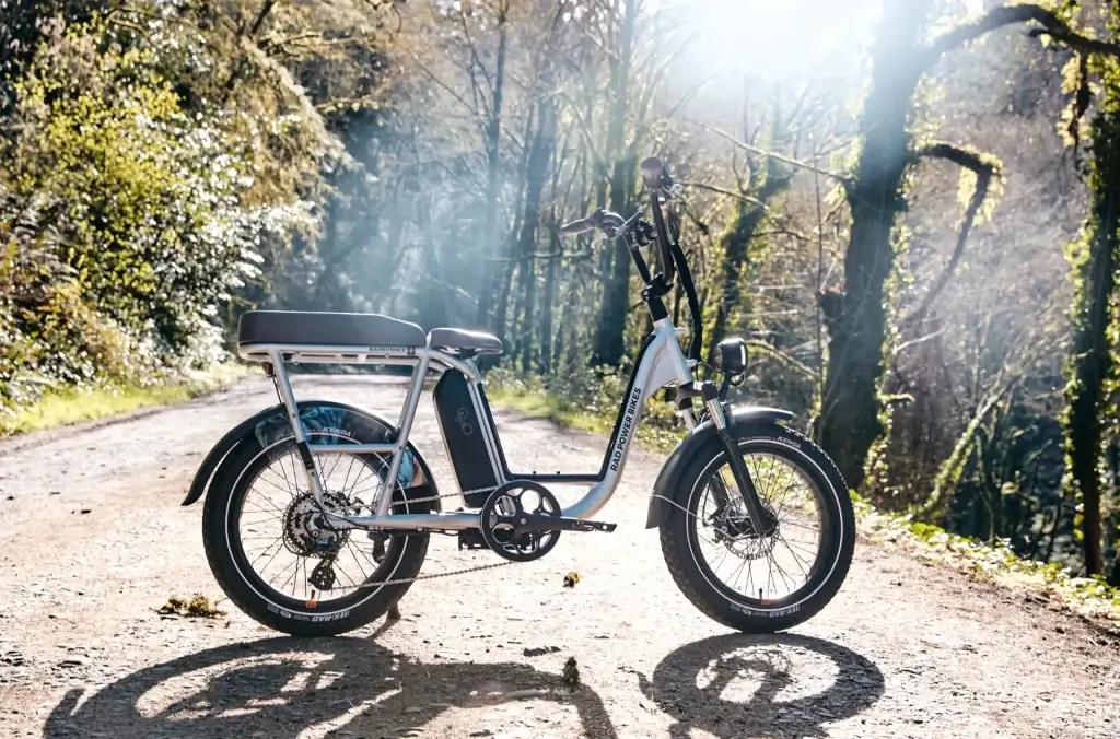 CPSC: Κίνδυνος πυρκαγιάς από μπαταρίες Rad Power Bikes 2 CPSC: Κίνδυνος πυρκαγιάς από μπαταρίες Rad Power Bikes