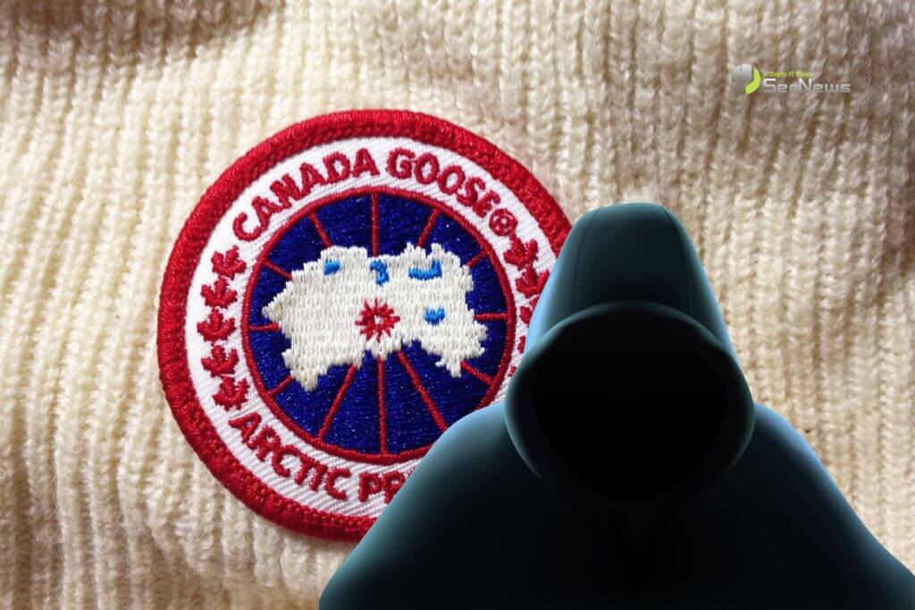 Canada Goose