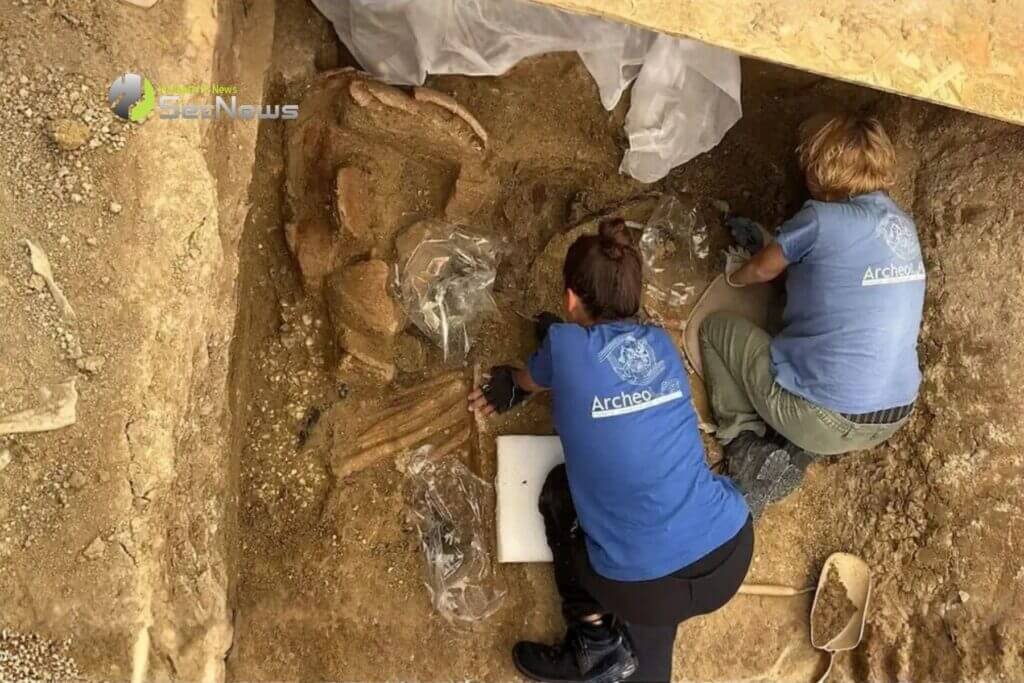Τάφος 